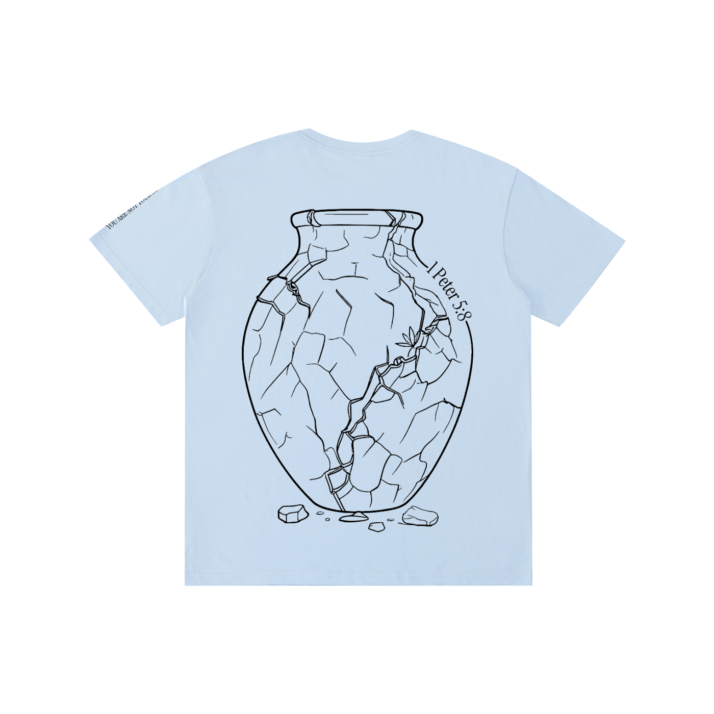 Pure Cotton T-Shirt: Sobriety