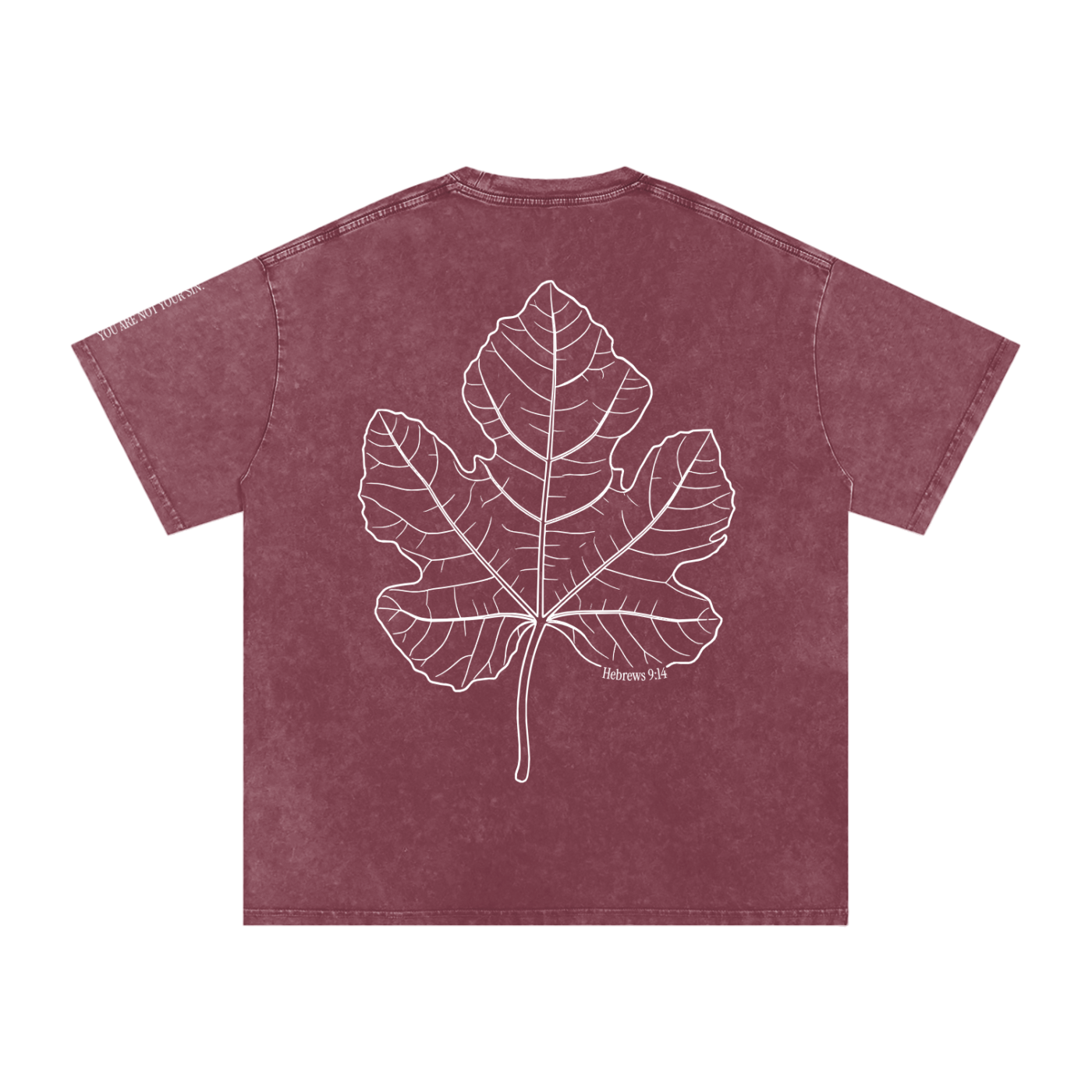 Snow Washed Oversized Cotton T-Shirt: Shame