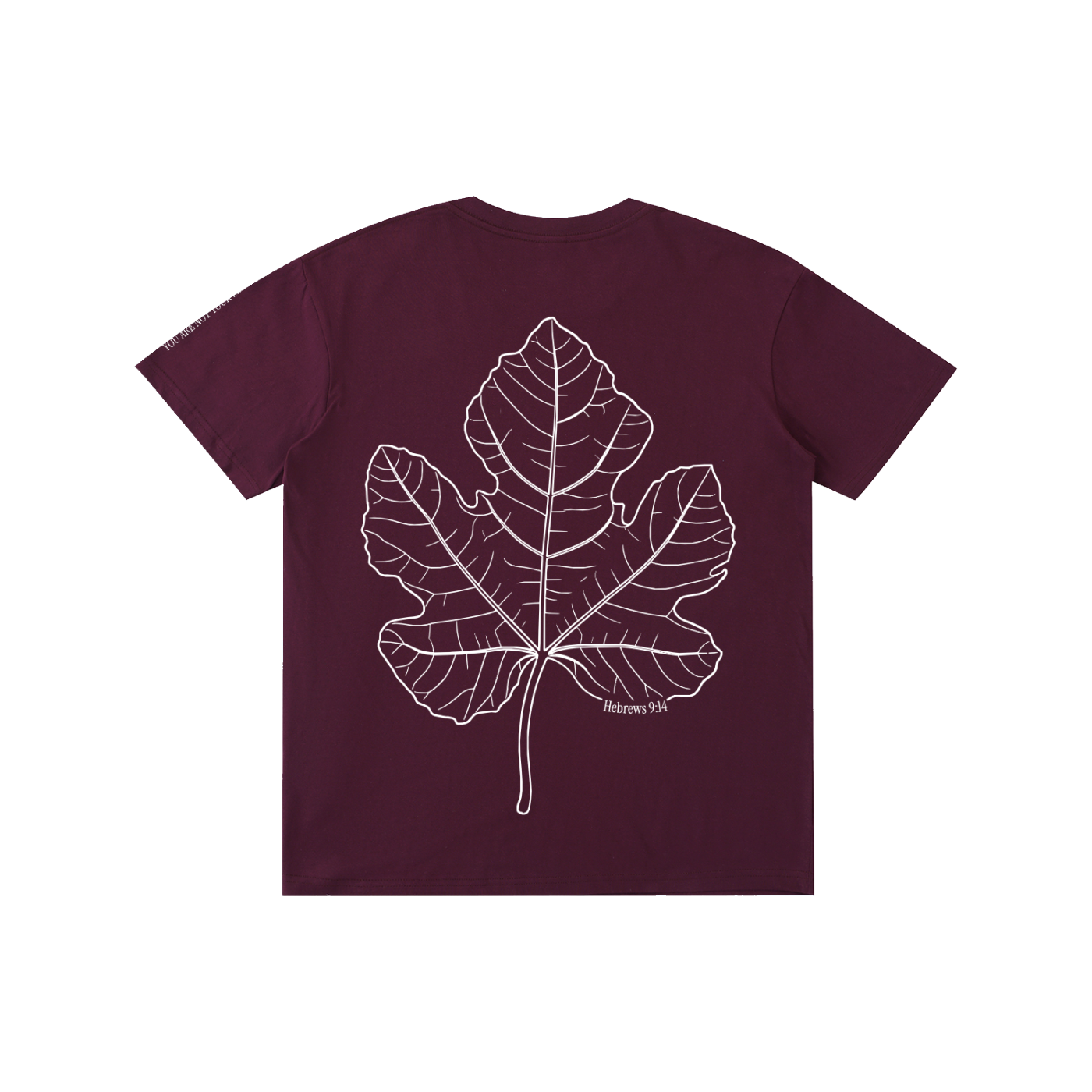 Pure Cotton T-Shirt: Shame