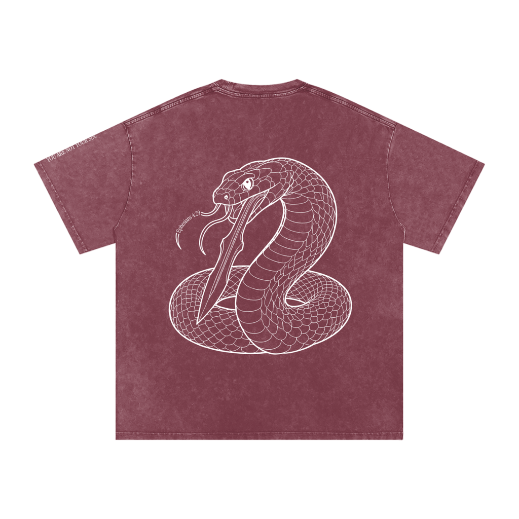 Snow Washed Oversized Cotton T-Shirt: Sins of the Tongue