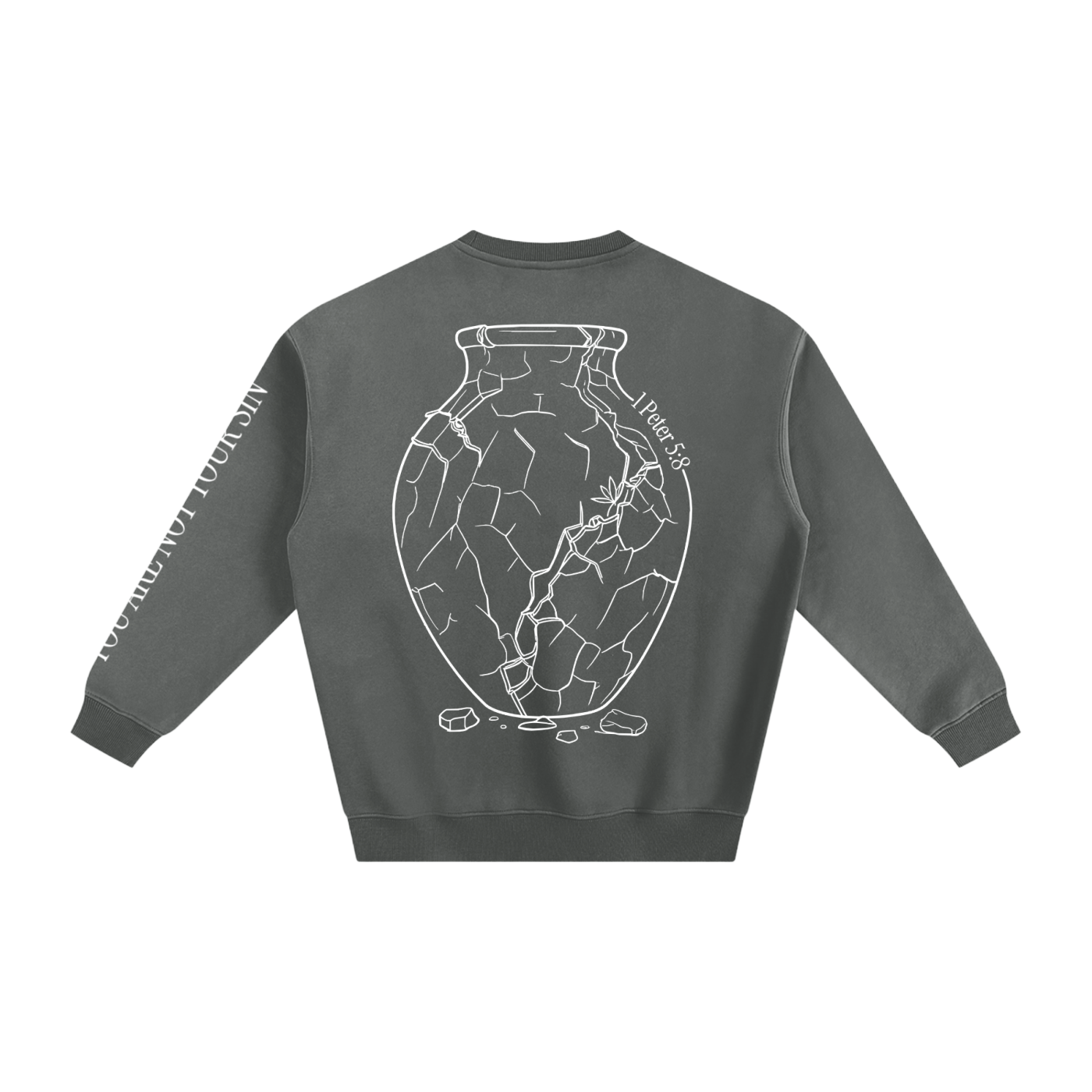 Sobriety Collection: Fleeced Sweatshirt