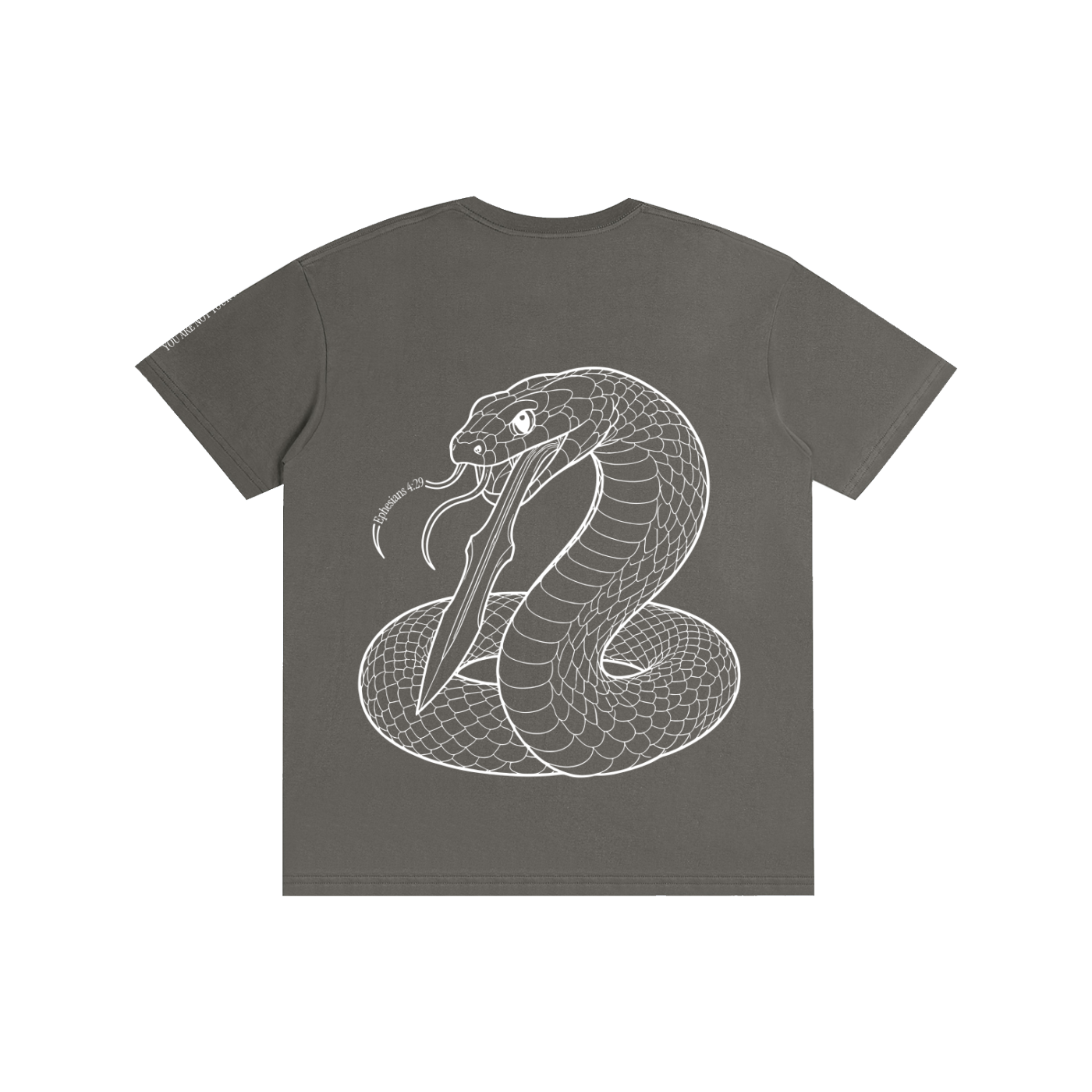 Pure Cotton T-Shirt: Sins of the Tongue