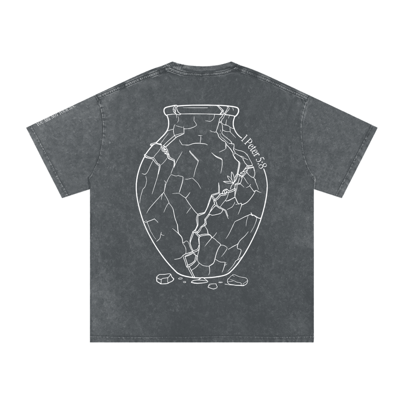 Snow Washed Oversized Cotton T-Shirt: Sobriety