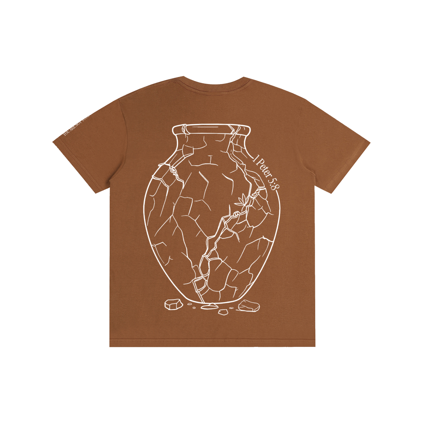Pure Cotton T-Shirt: Sobriety