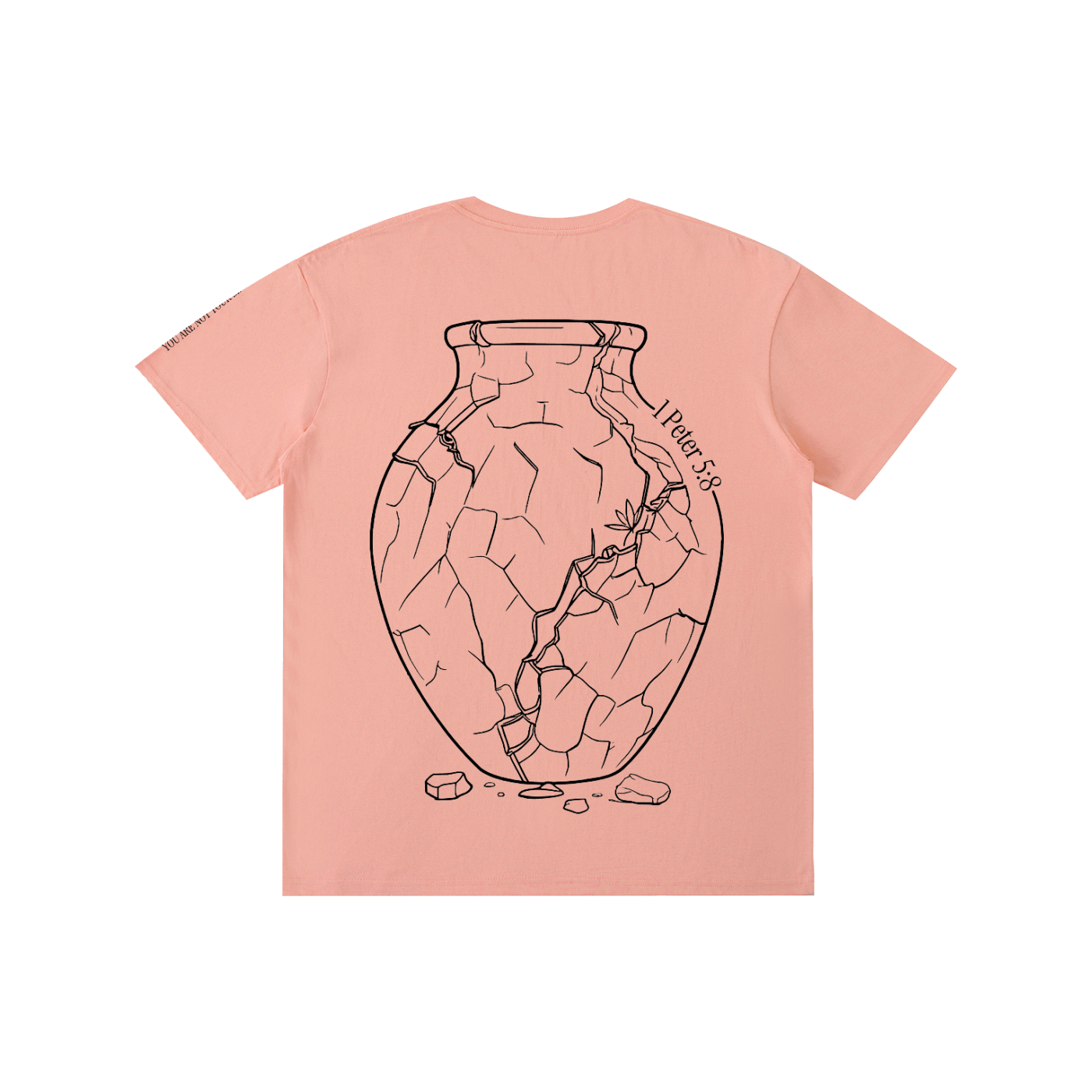 Pure Cotton T-Shirt: Sobriety