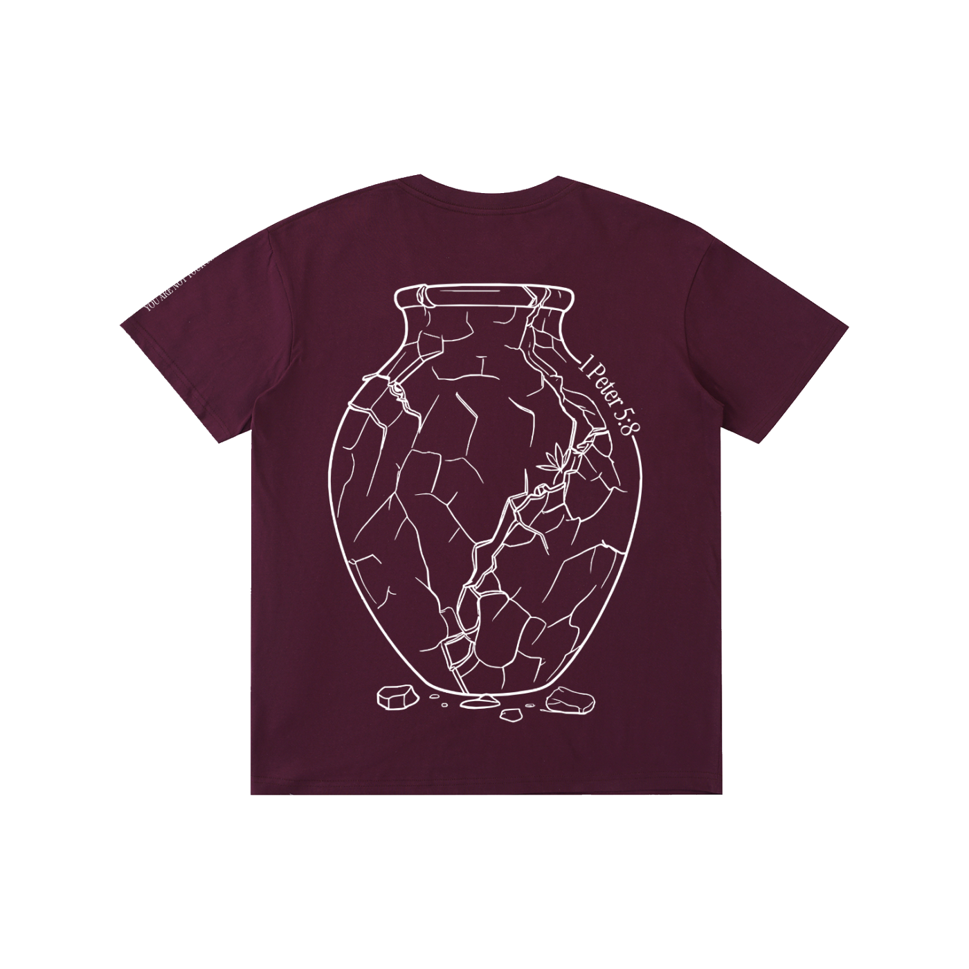 Pure Cotton T-Shirt: Sobriety