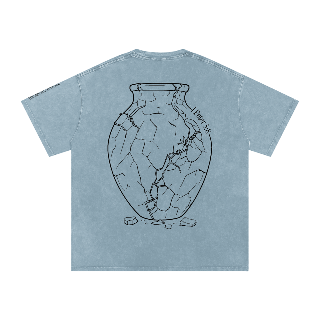 Snow Washed Oversized Cotton T-Shirt: Sobriety
