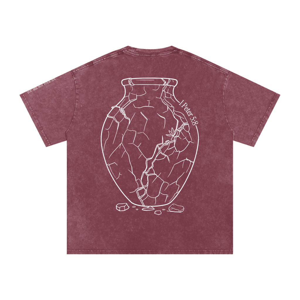 Snow Washed Oversized Cotton T-Shirt: Sobriety
