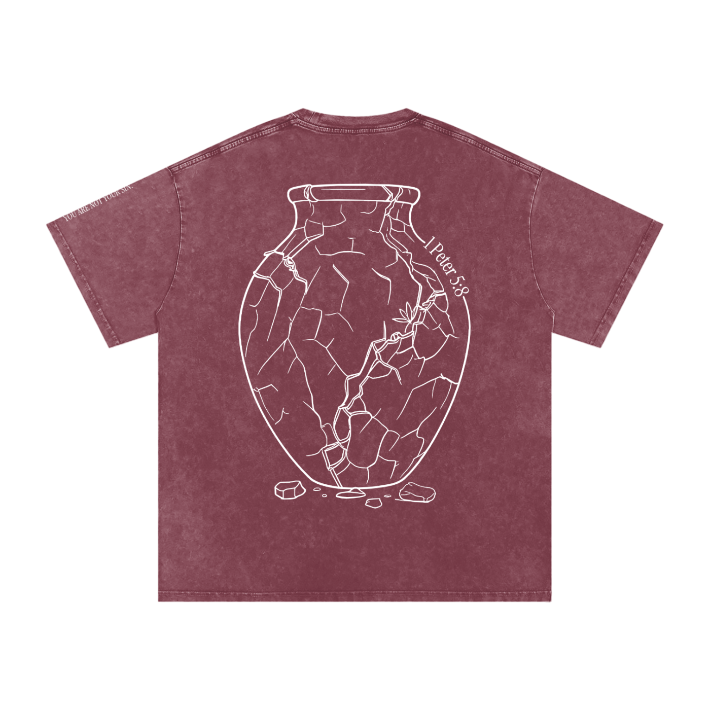 Snow Washed Oversized Cotton T-Shirt: Sobriety