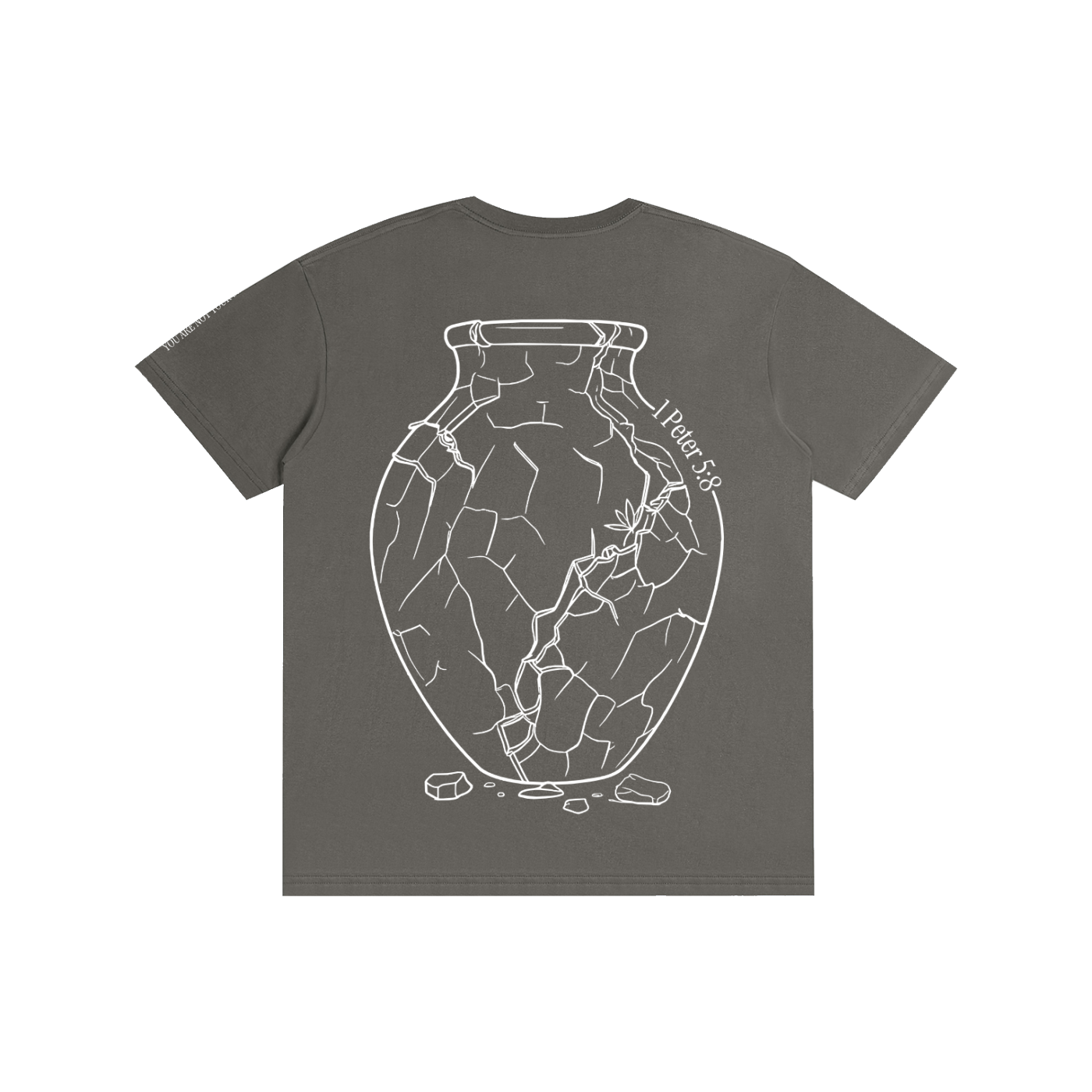 Pure Cotton T-Shirt: Sobriety
