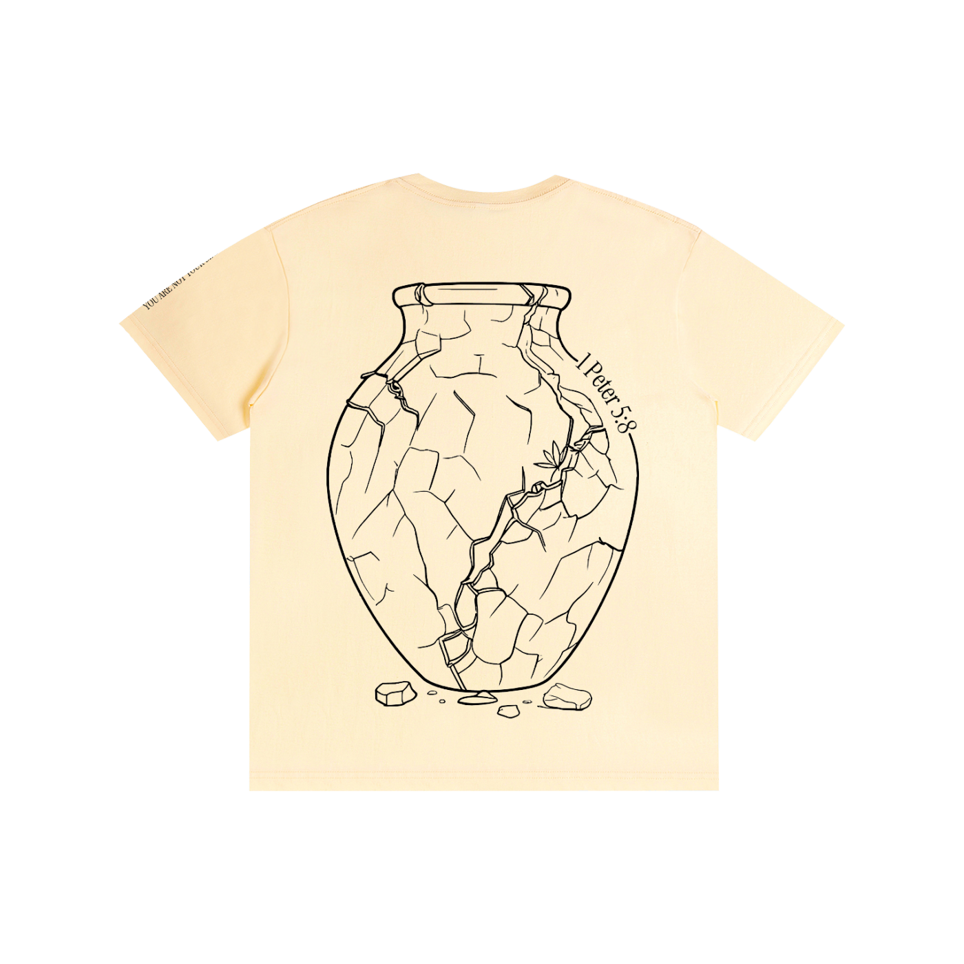 Pure Cotton T-Shirt: Sobriety