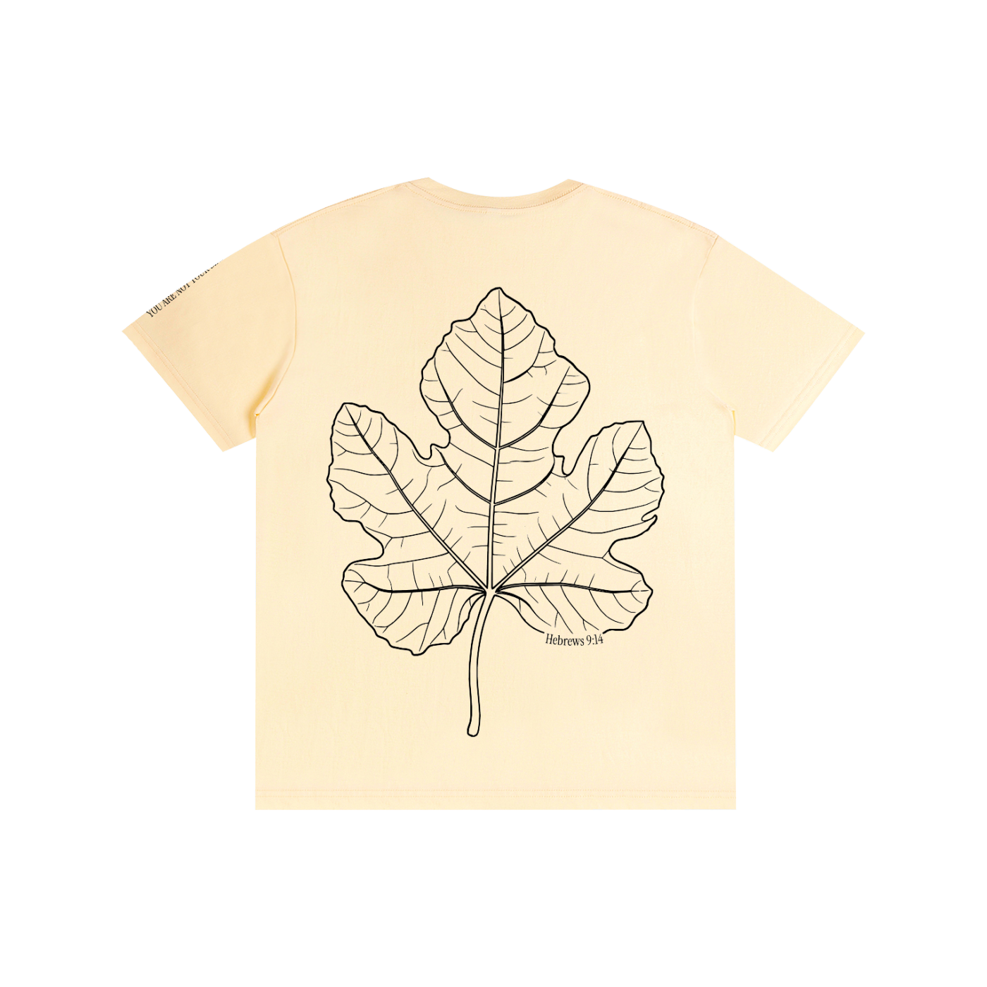 Shame Collection: Pure Cotton T-Shirt