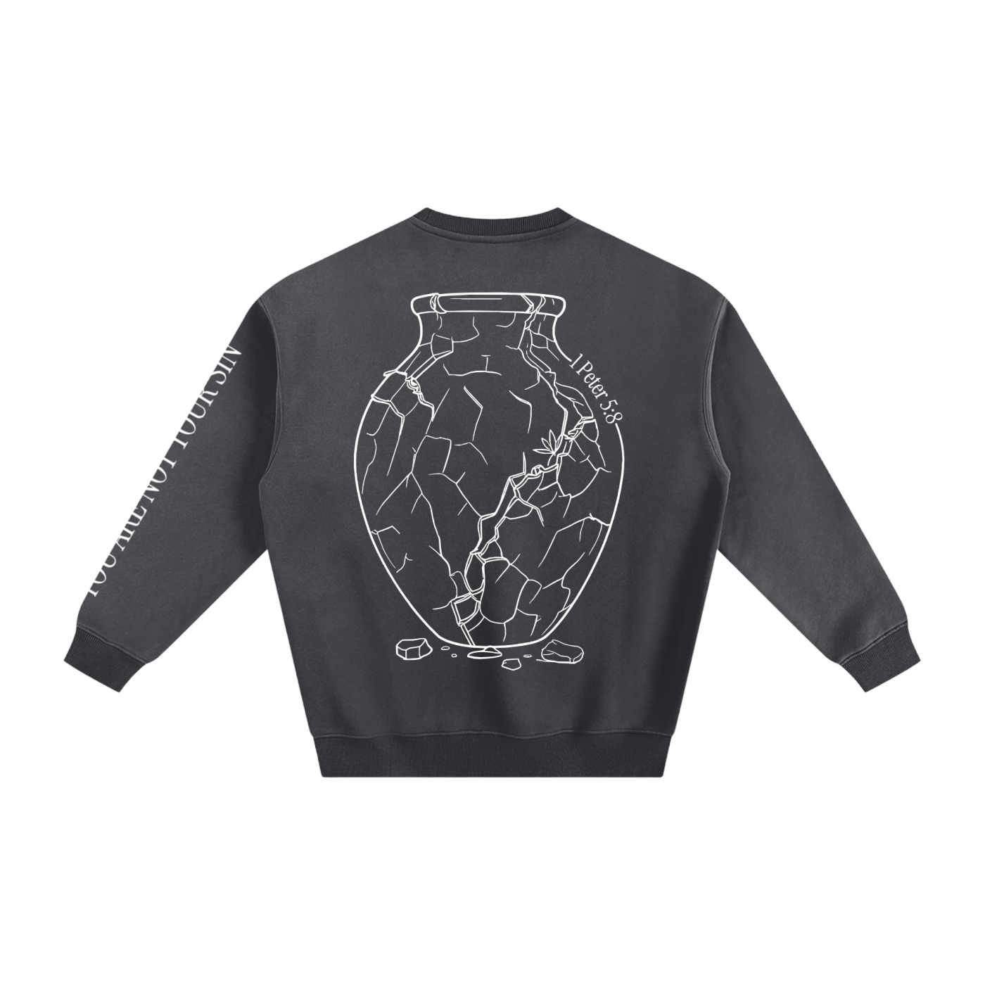 Sobriety Collection: Fleeced Sweatshirt
